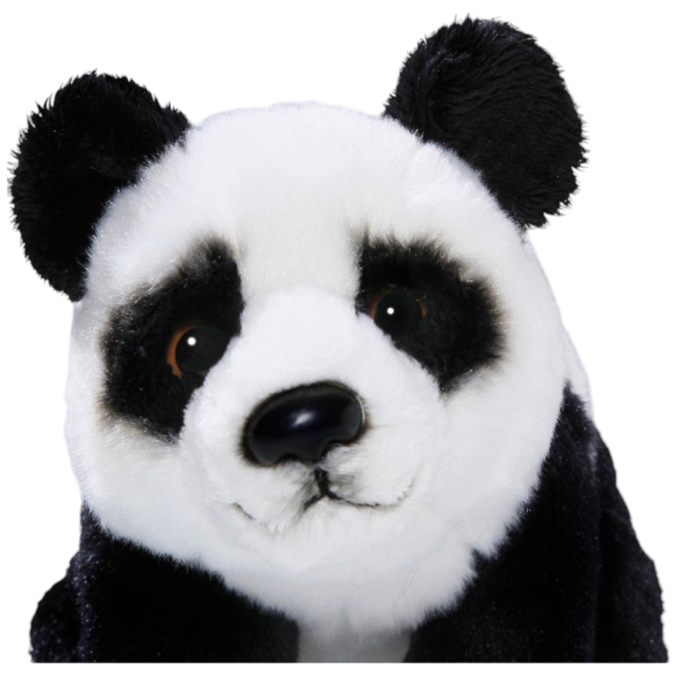 Panda bear