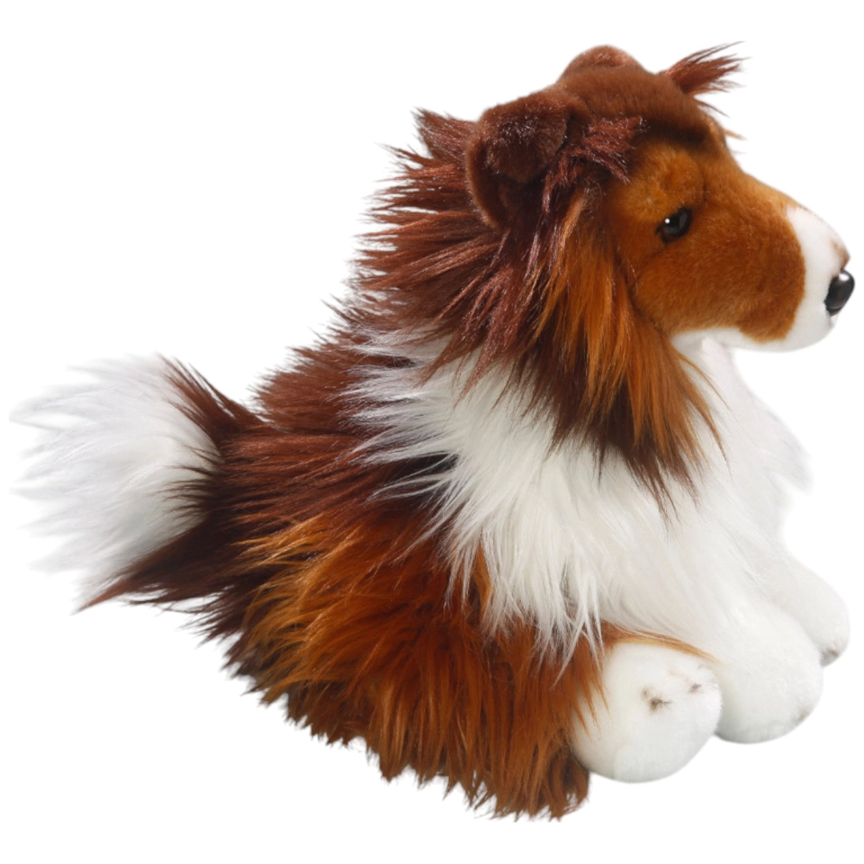 Collie Collie