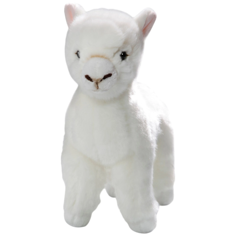 Llama standing