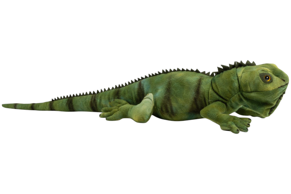 Carl Dick Plush Toy Iguana