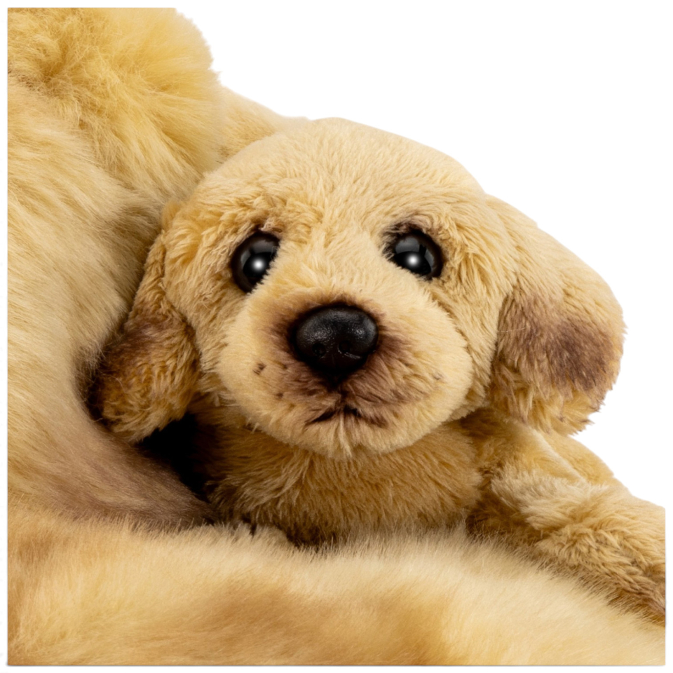 Carl Dick Plush Toy Labrador with Baby