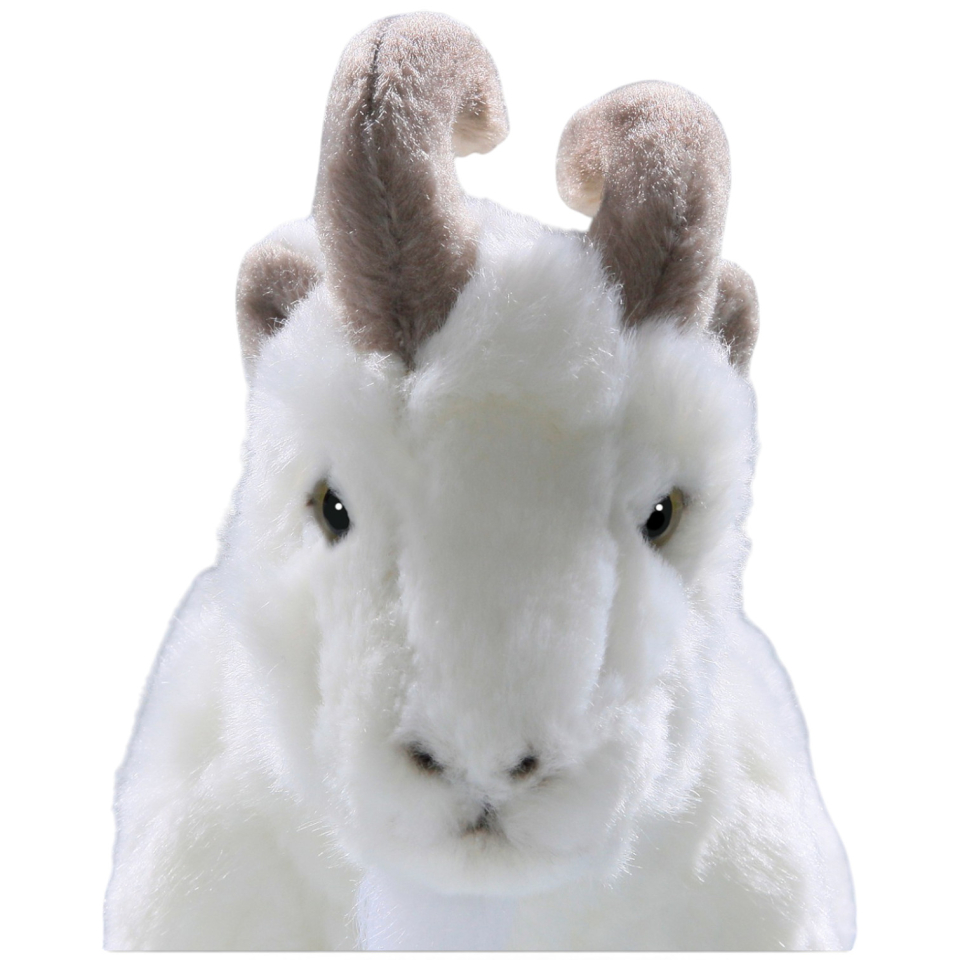 Carl Dick Plush Toy Goat white