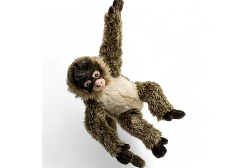 Carl Dick Plush Toy Spider Monkey