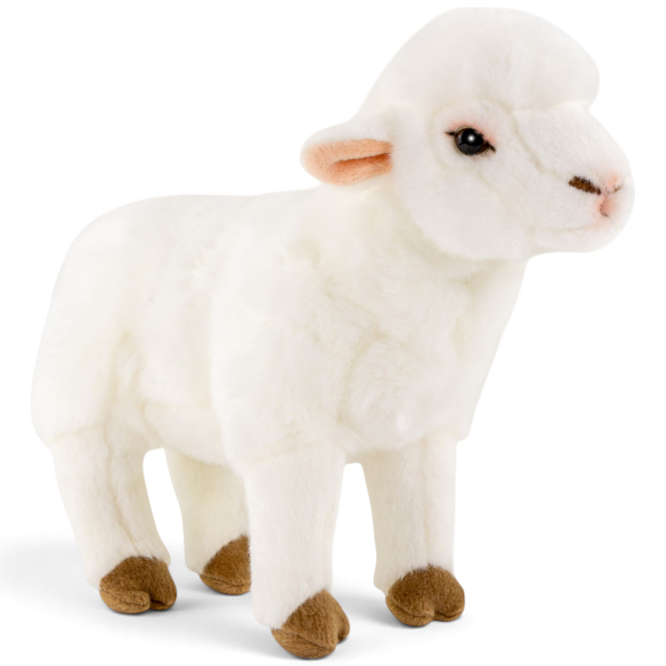 Carl Dick Plush Toy Sheep