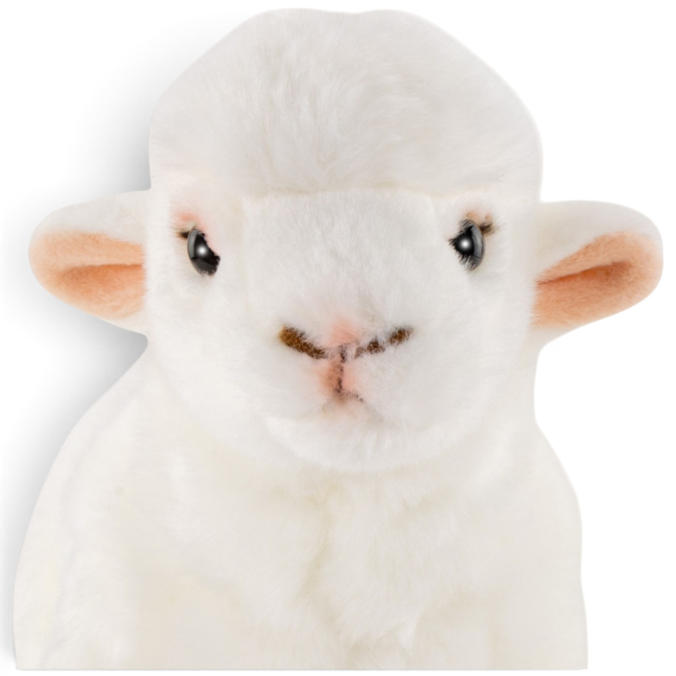 Carl Dick Plush Toy Sheep