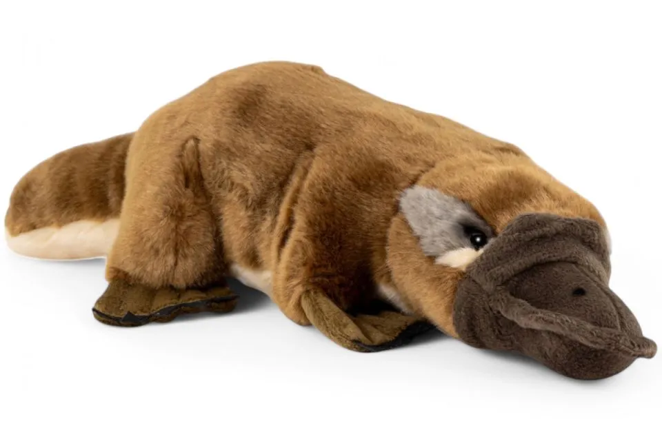 Carl Dick Plush Toy Platypus