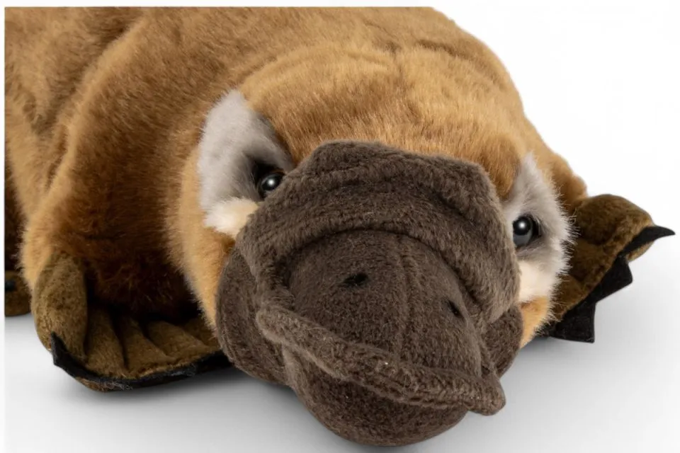 Carl Dick Plush Toy Platypus