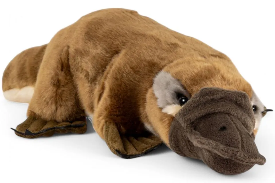 Carl Dick Plush Toy Platypus