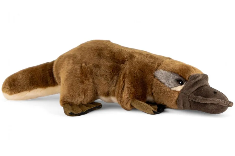 Carl Dick Plush Toy Platypus