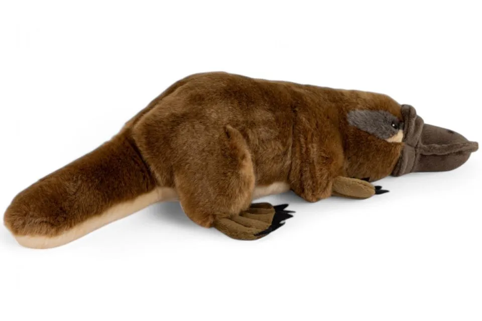 Carl Dick Plush Toy Platypus