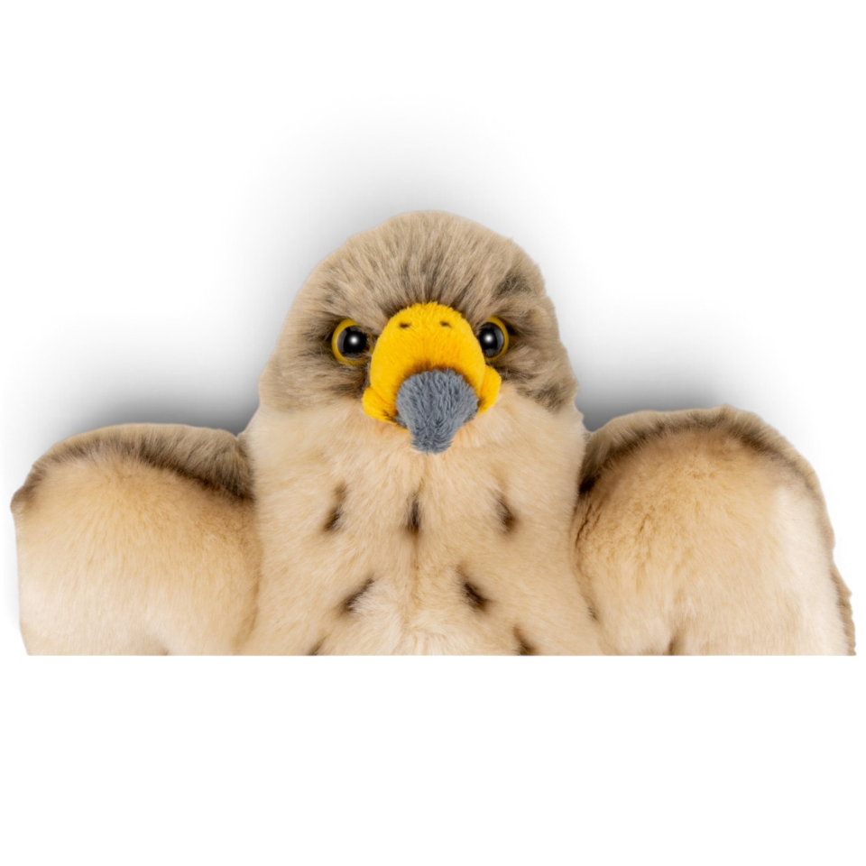 Carl Dick Plush Toy Falcon