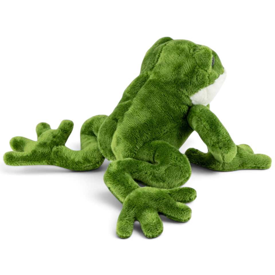 Carl Dick Plush Toy Frog
