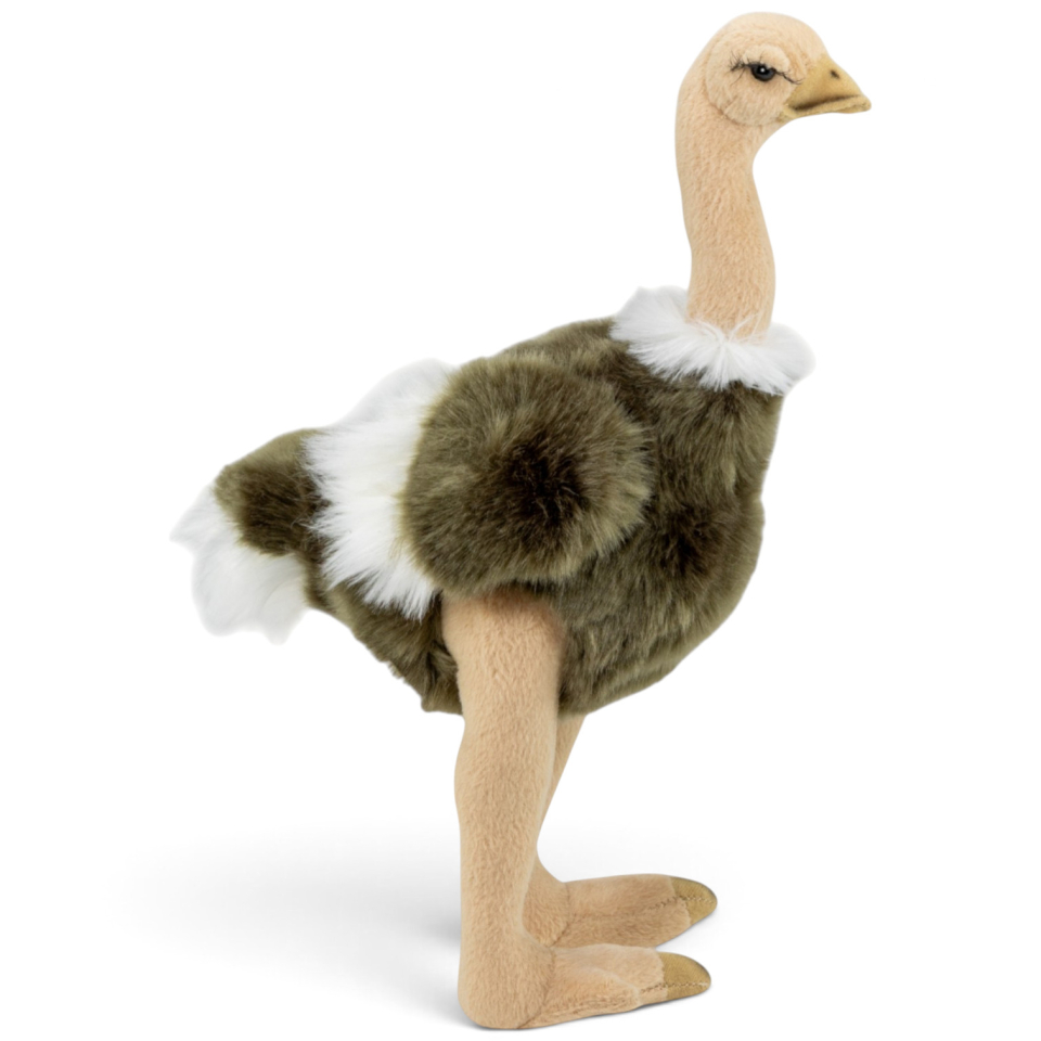 Carl Dick Plush Toy Ostrich