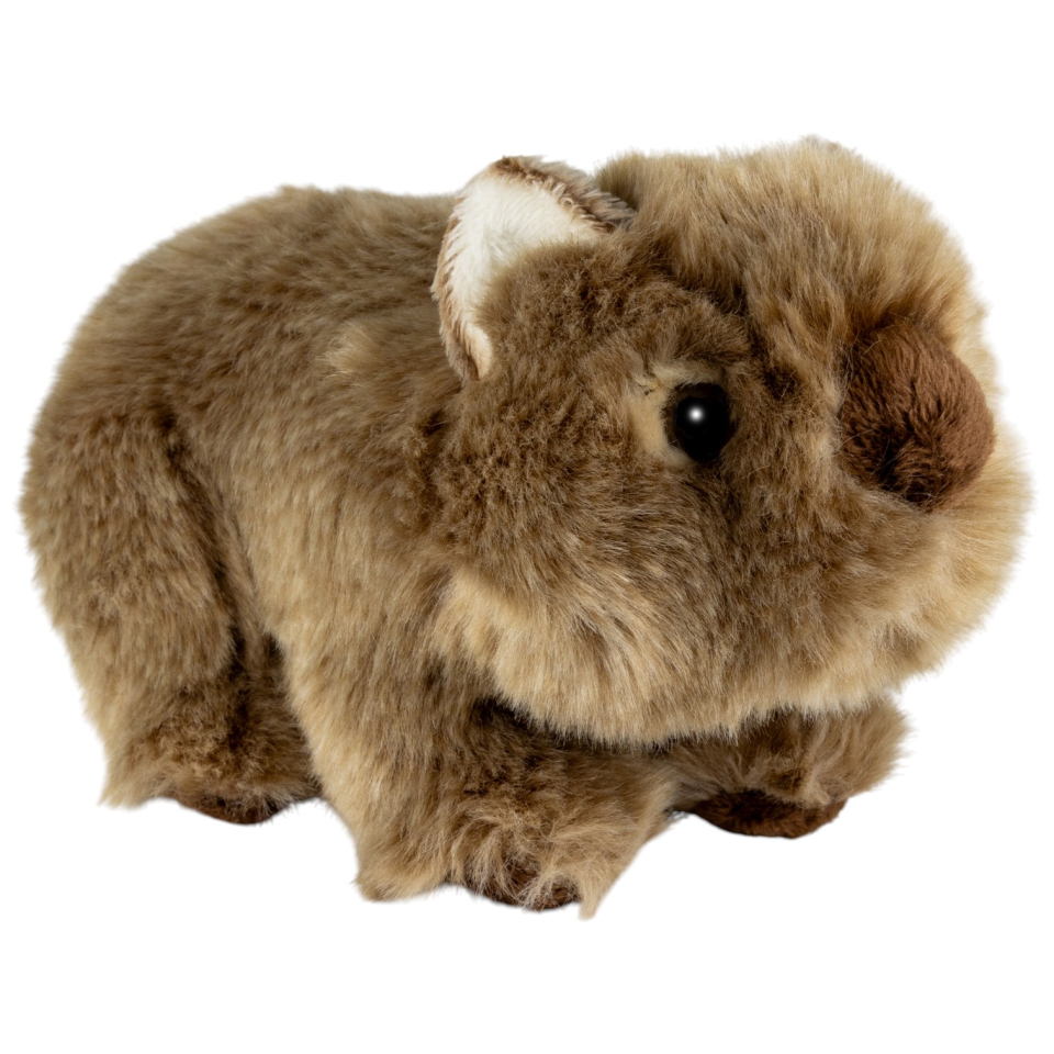 Carl Dick Plush Toy Wombat