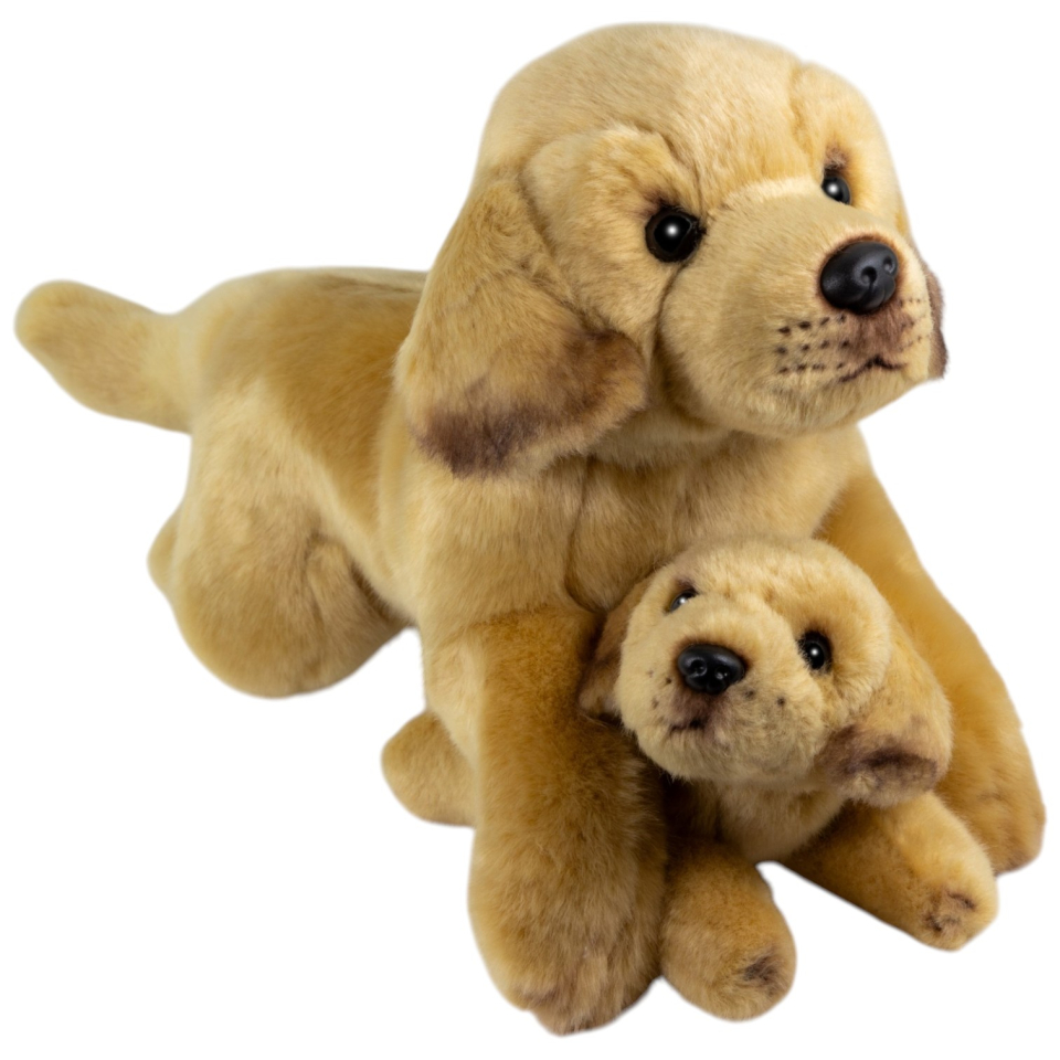 Labrador liegend mit Welpe