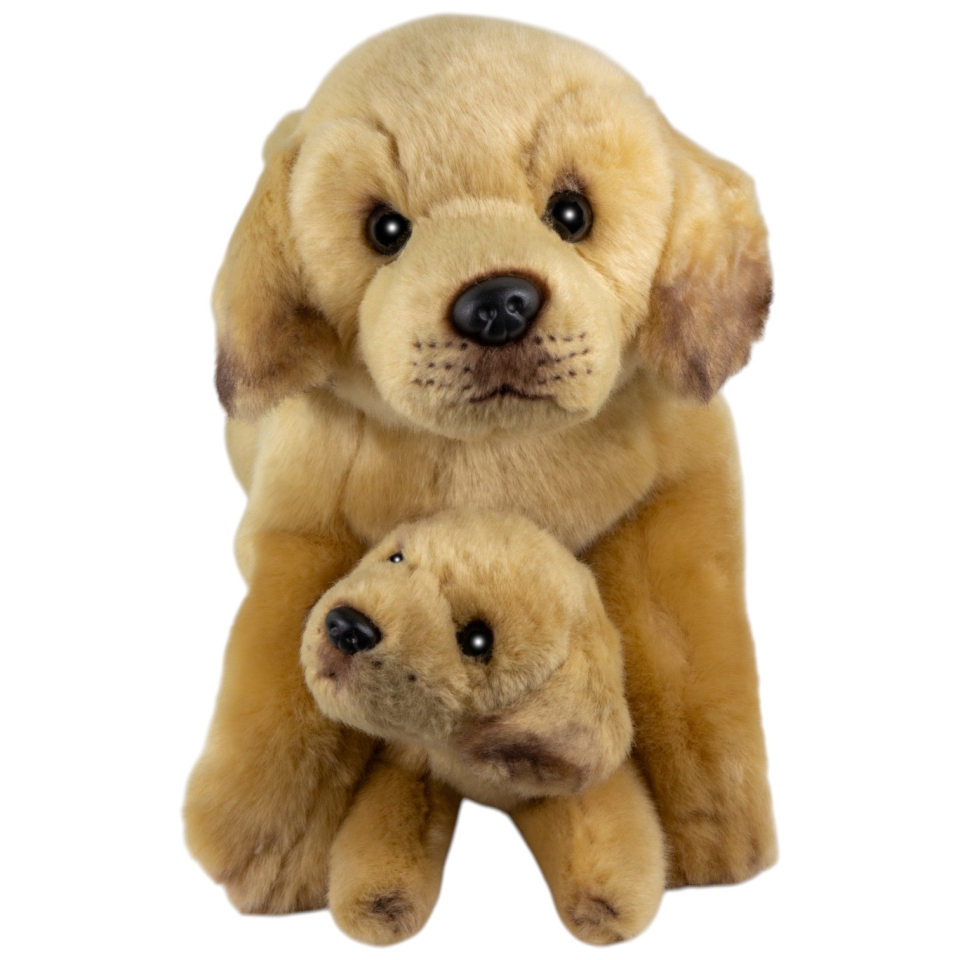 Labrador liegend mit Welpe