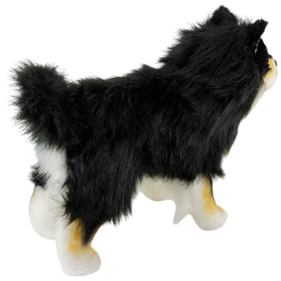 Finnischer Lapphund, Lapinkoira