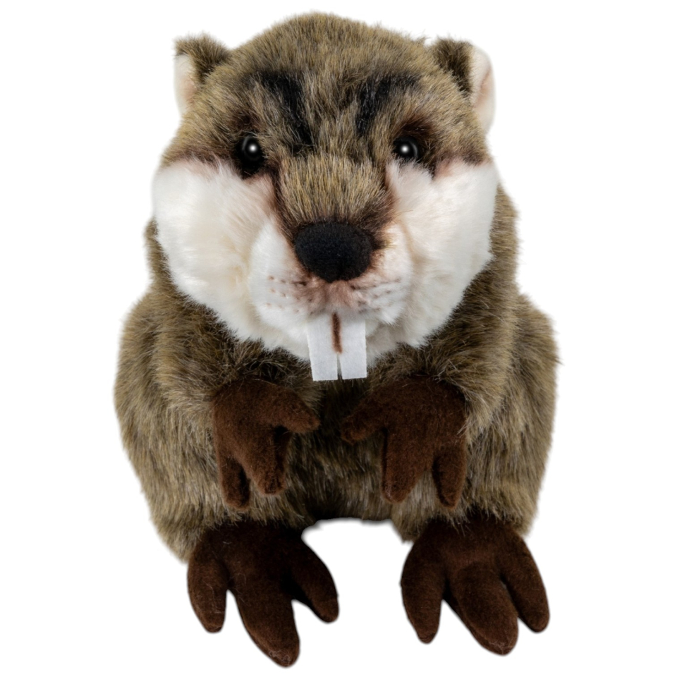 Biber braun aufrecht