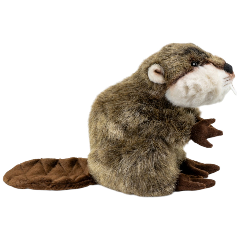 Biber braun aufrecht