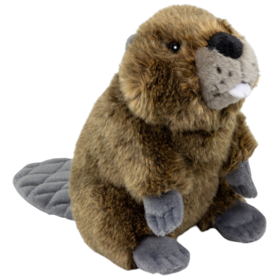 Biber grau-braun aufrecht