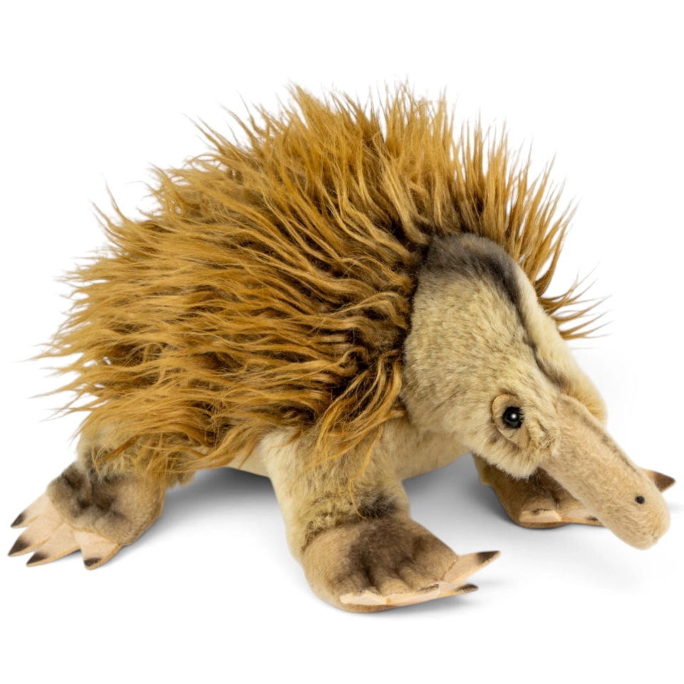 Carl Dick Plüschtier Ameisenigel, Echidna