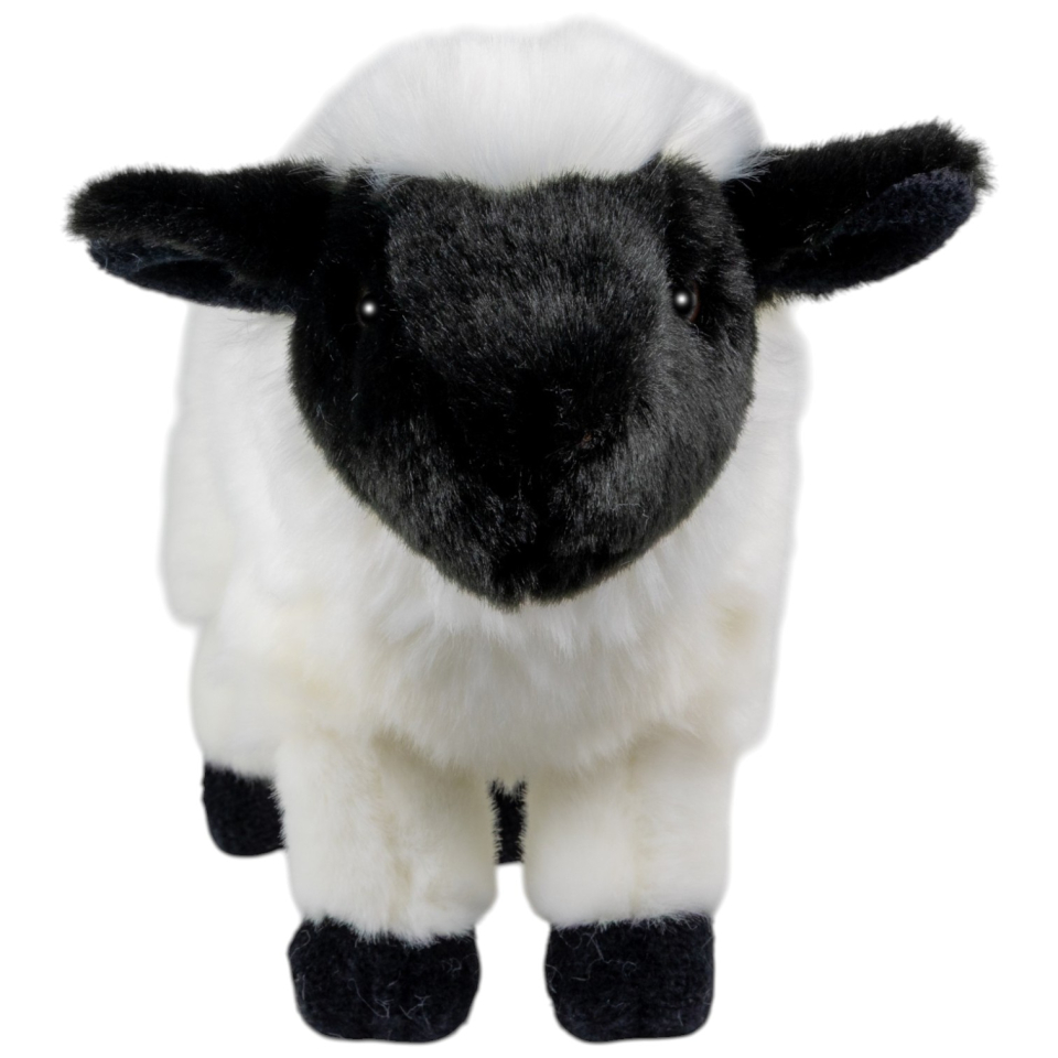 Schaf, Lamm schwarz-weiß stehend