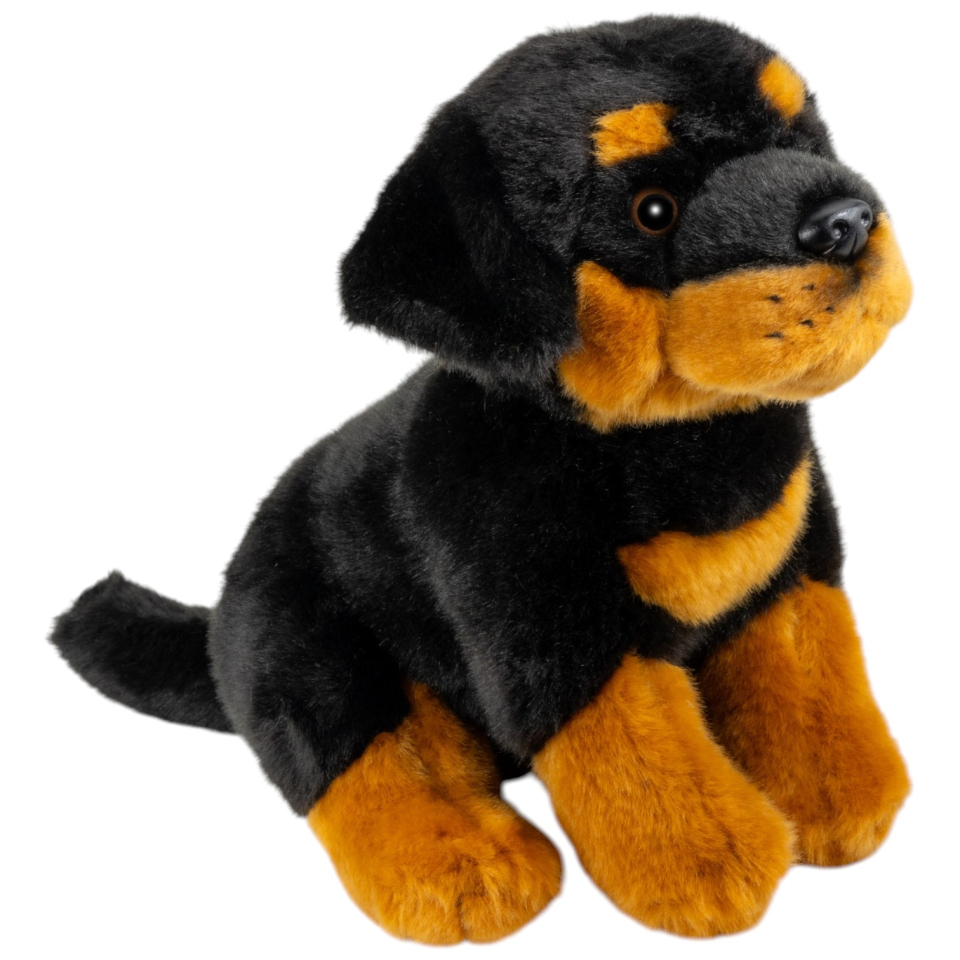 Rottweiler sitzend