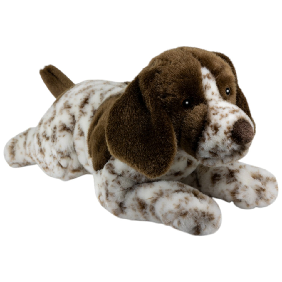 Deutscher Kurzhaar Jagdhund liegend