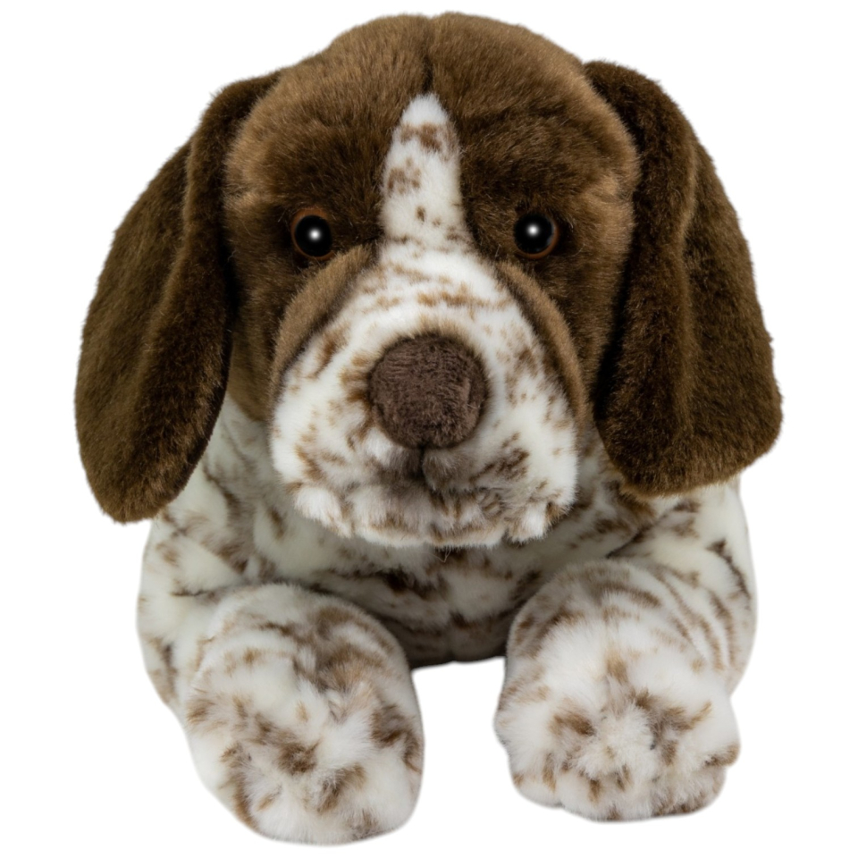 Deutscher Kurzhaar Jagdhund liegend