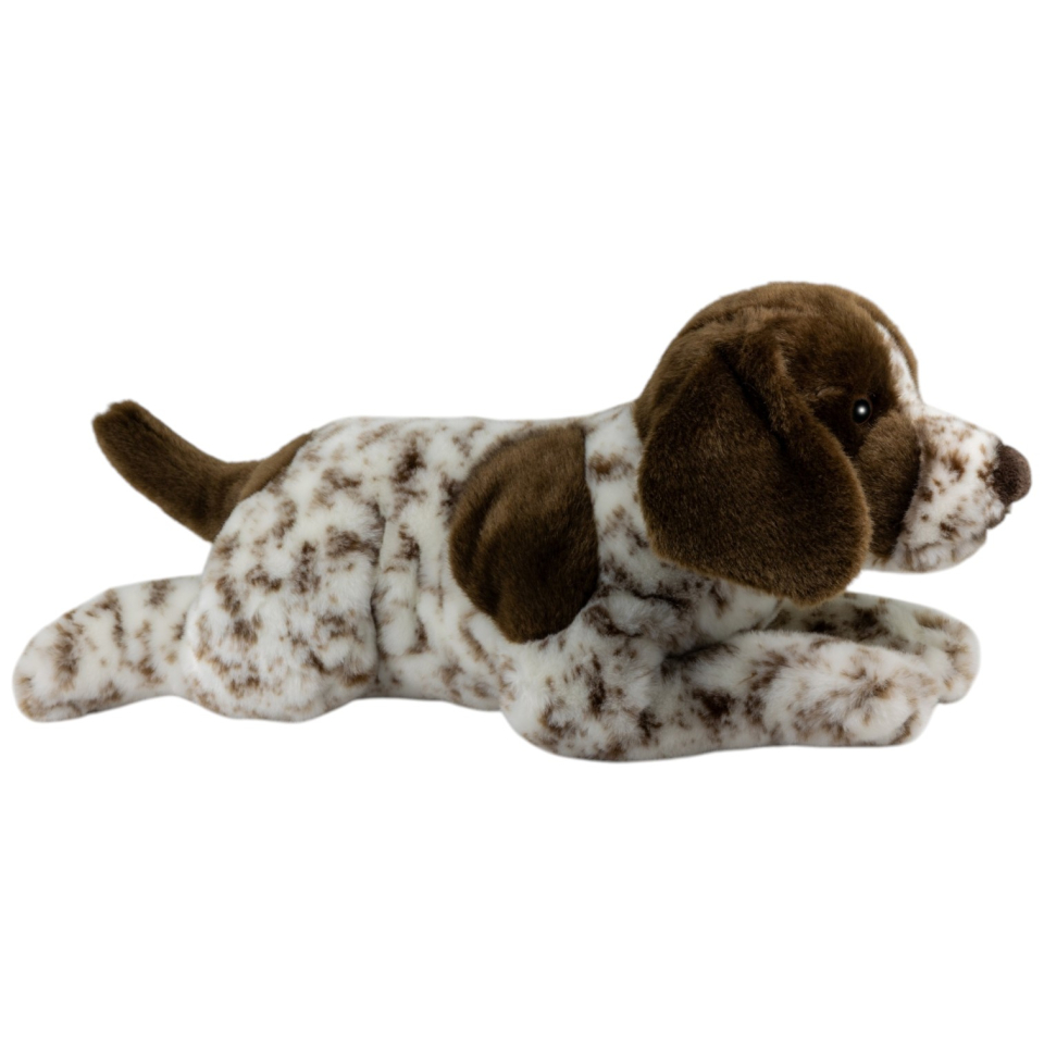 Deutscher Kurzhaar Jagdhund liegend