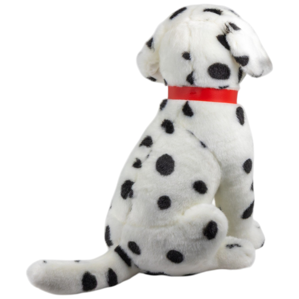 Dalmatiner sitzend mit Halsband