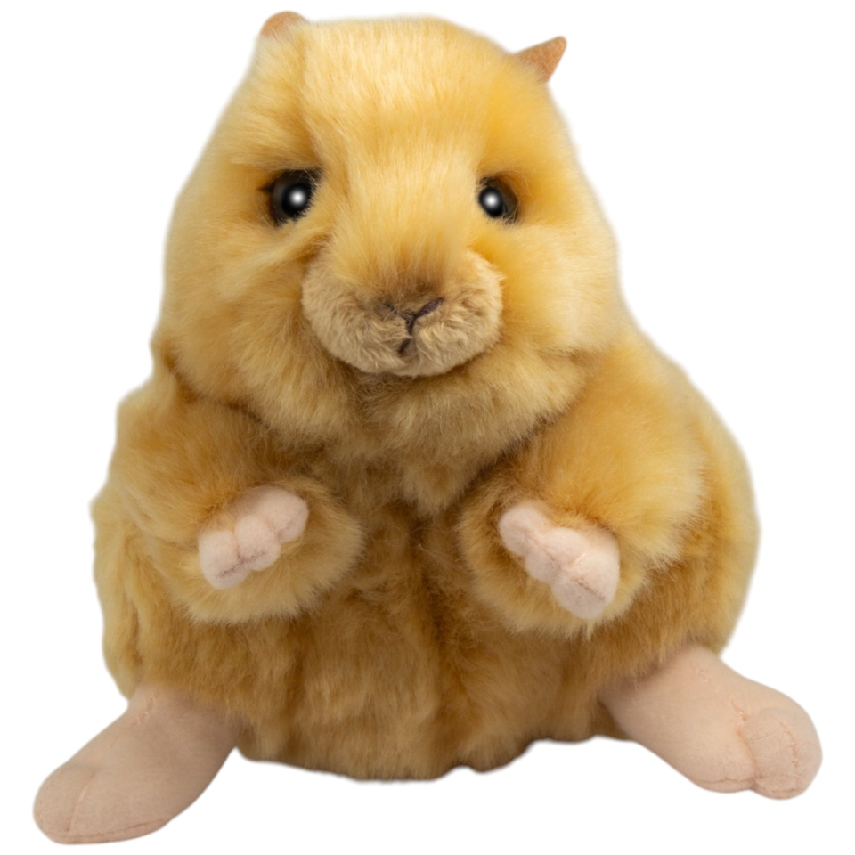 Hamster, Goldhamster aufrecht