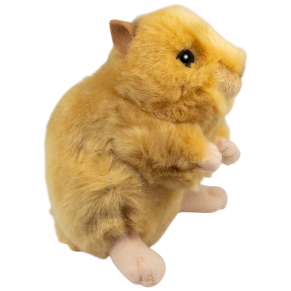 Hamster, Goldhamster aufrecht