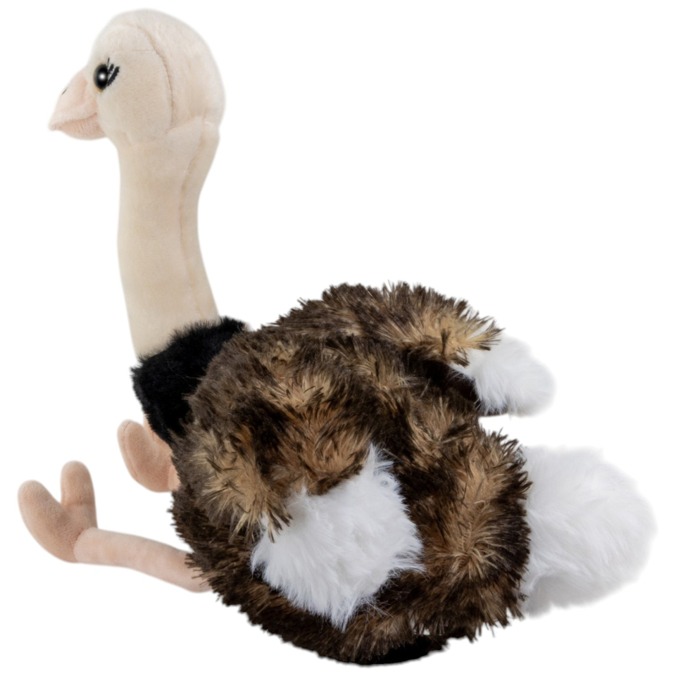 Carl Dick Plush Toy Ostrich