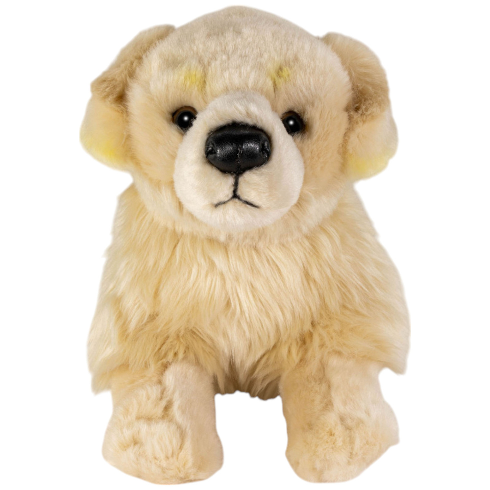 Golden Retriever liegend