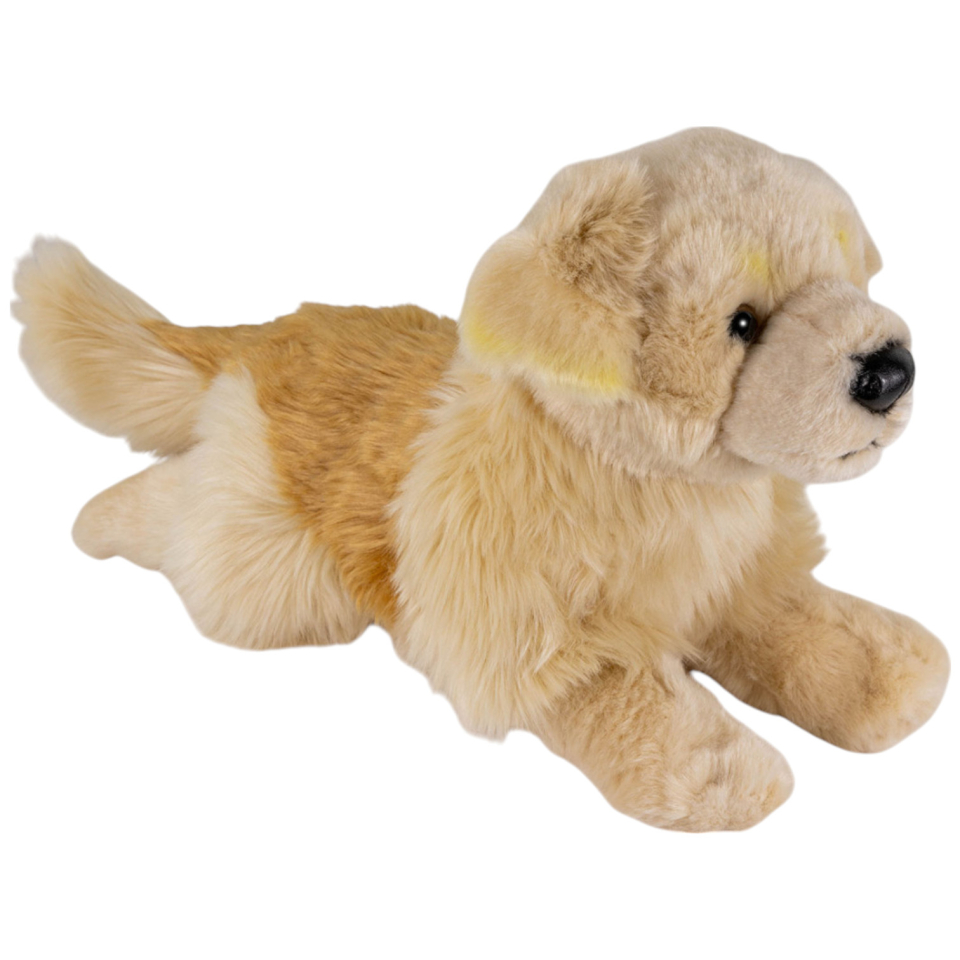 Golden Retriever liegend