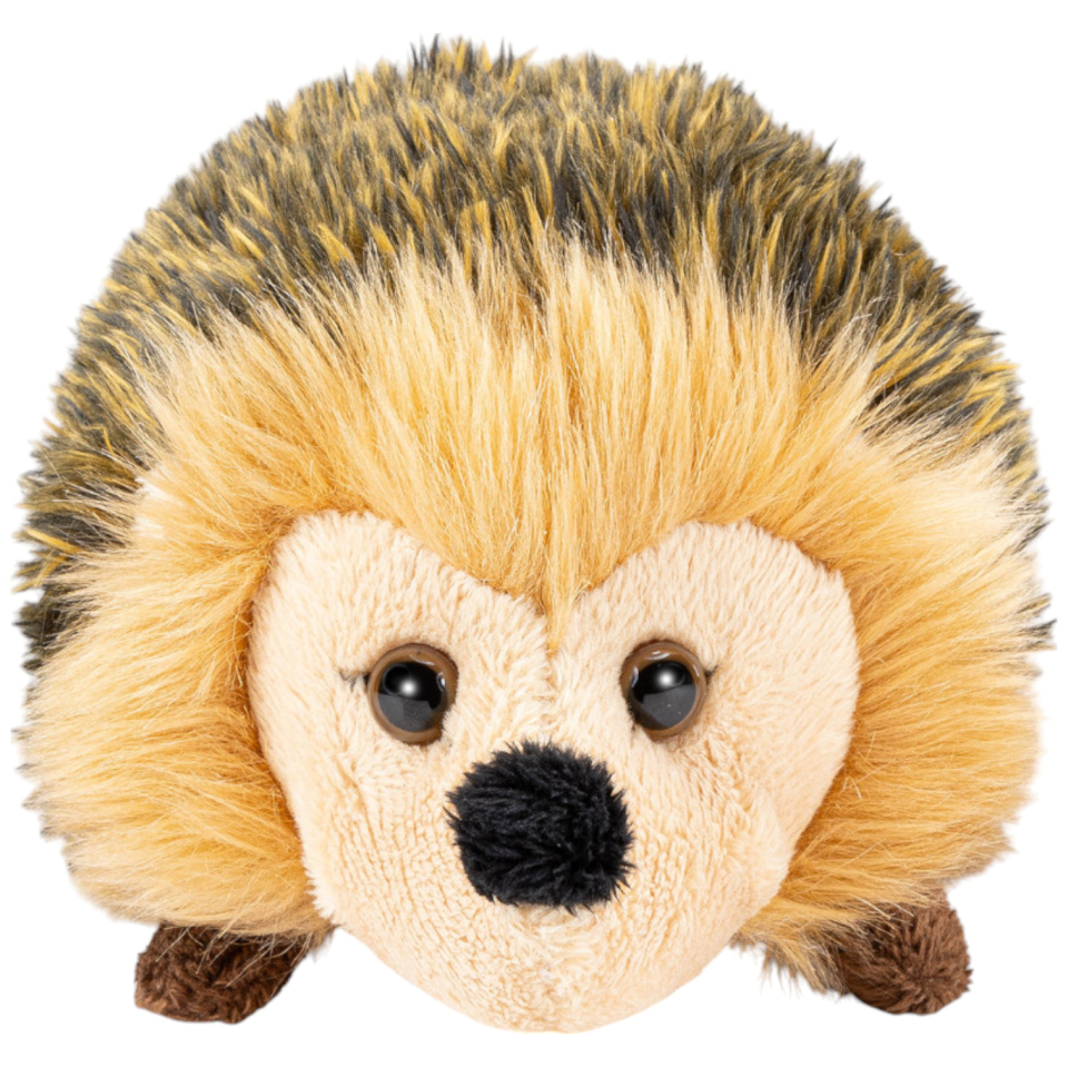 Hedgehog brown