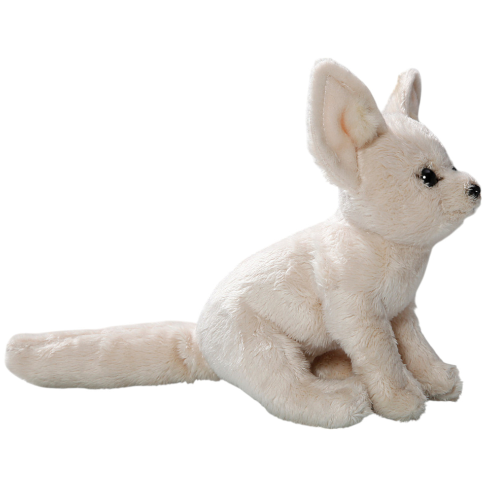 Fox, Fennec sitting