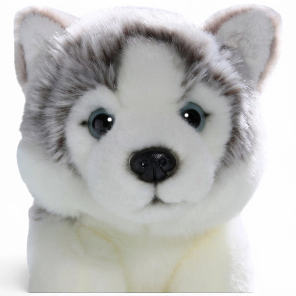 Carl Dick Plush Toy Husky Dog Floppy