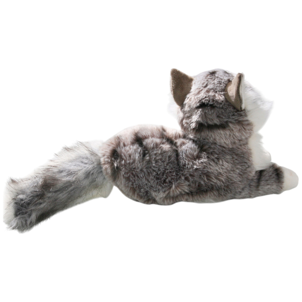 Katze, Perserkatze liegend grau-weiß