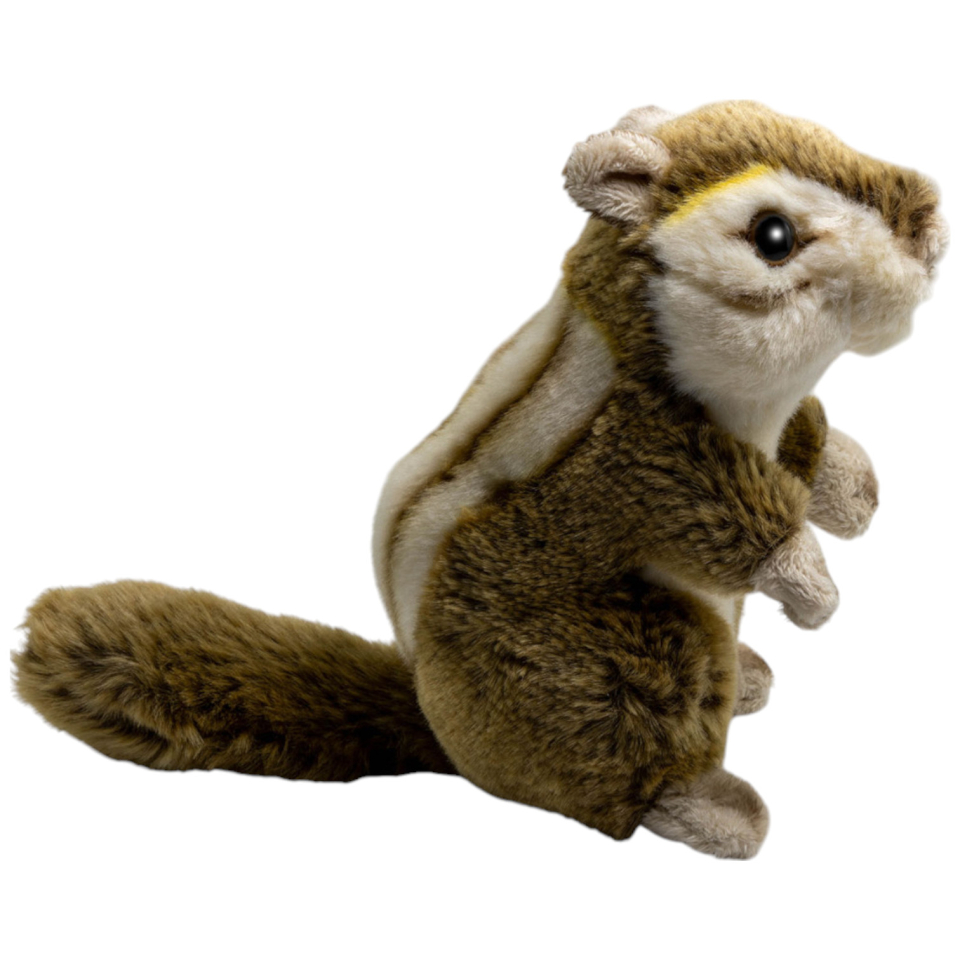 Eichhörnchen, Streifenhörnchen