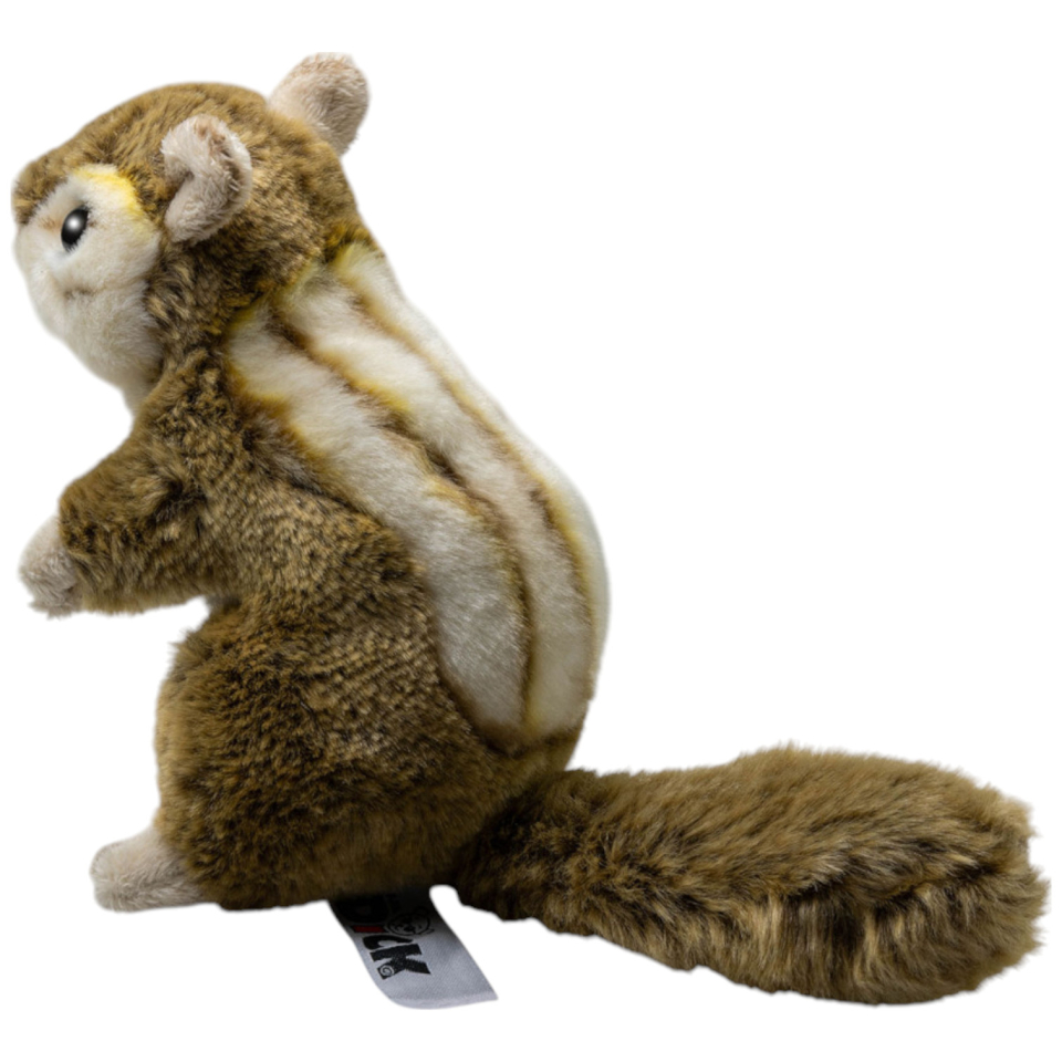 Eichhörnchen, Streifenhörnchen