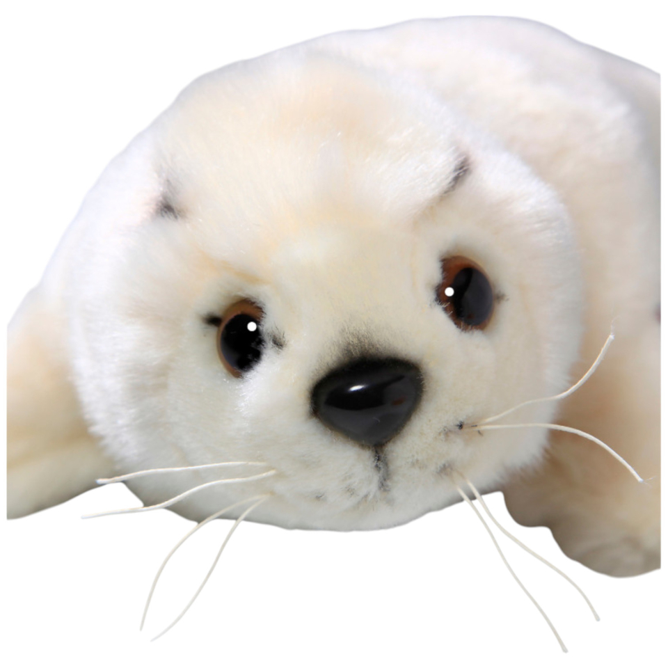 Seal Baby
