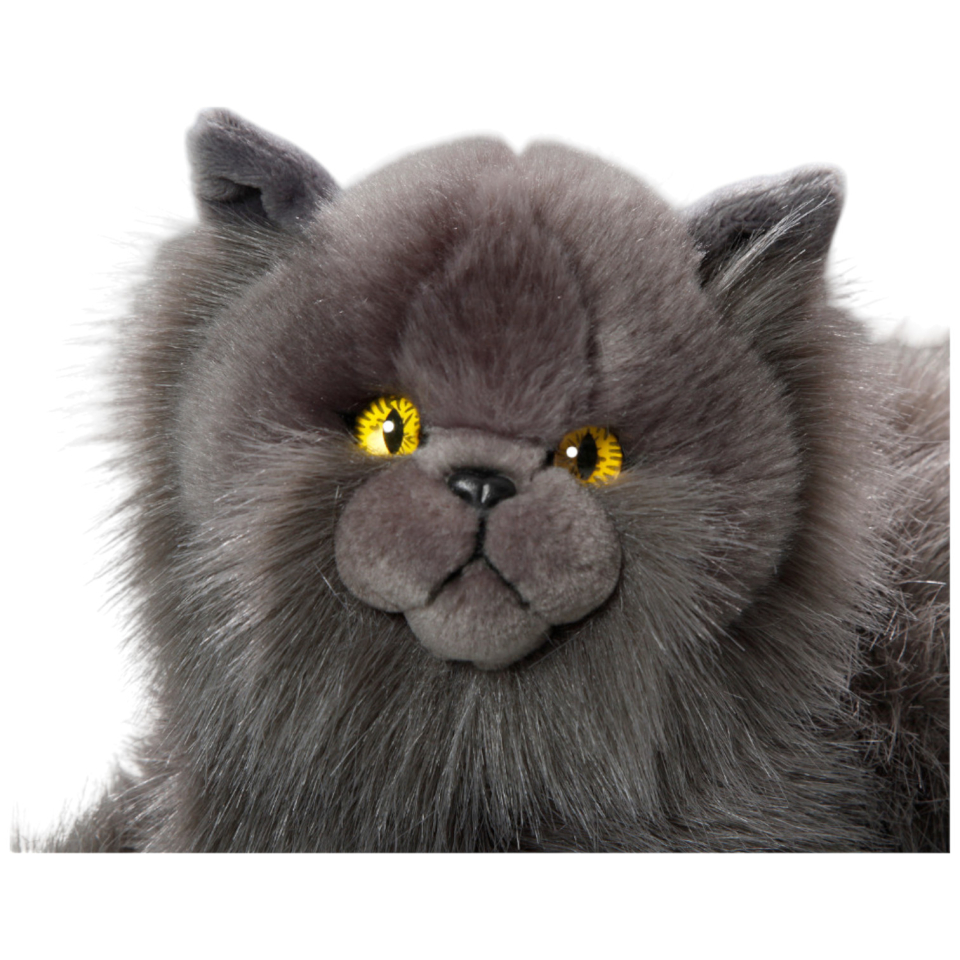 Katze, Perserkatze liegend grau