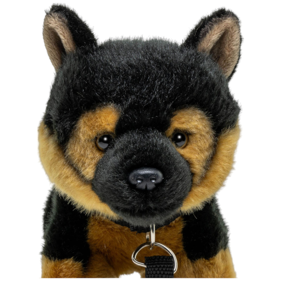 German Shepherd Dog, Alsatian Puppy with lead