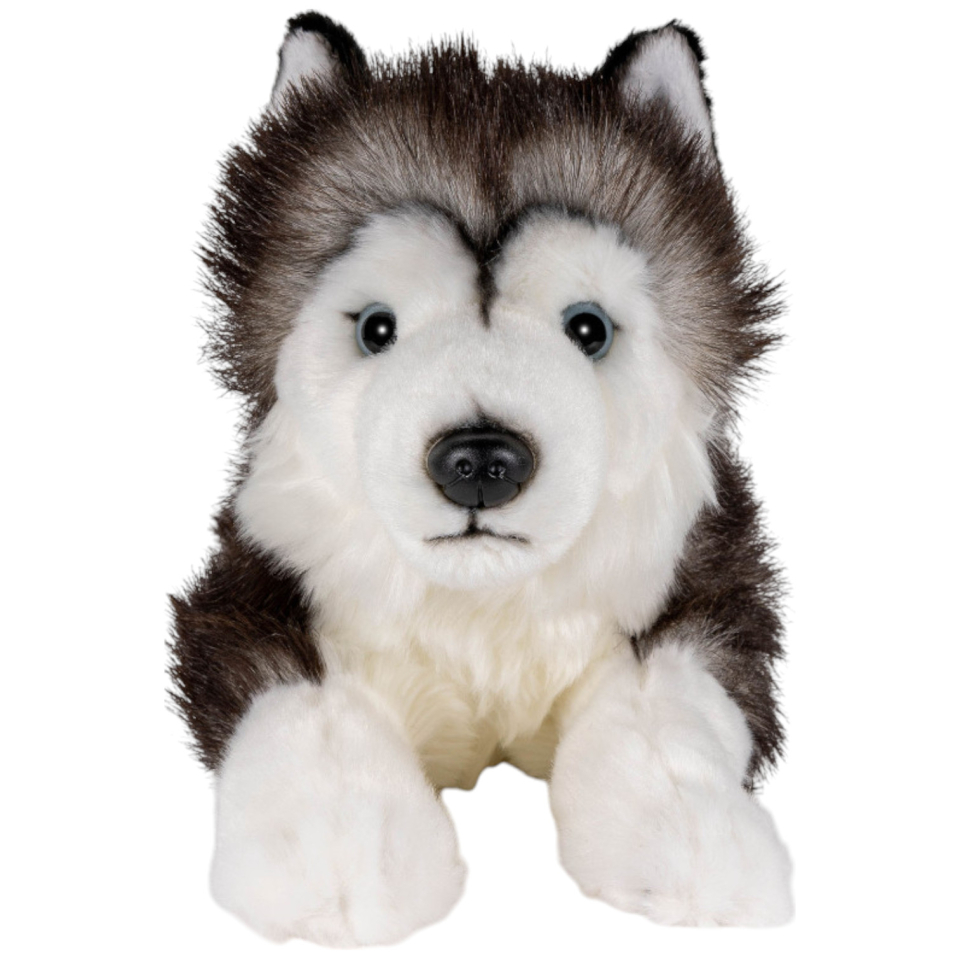 Husky schwarz-weiß liegend