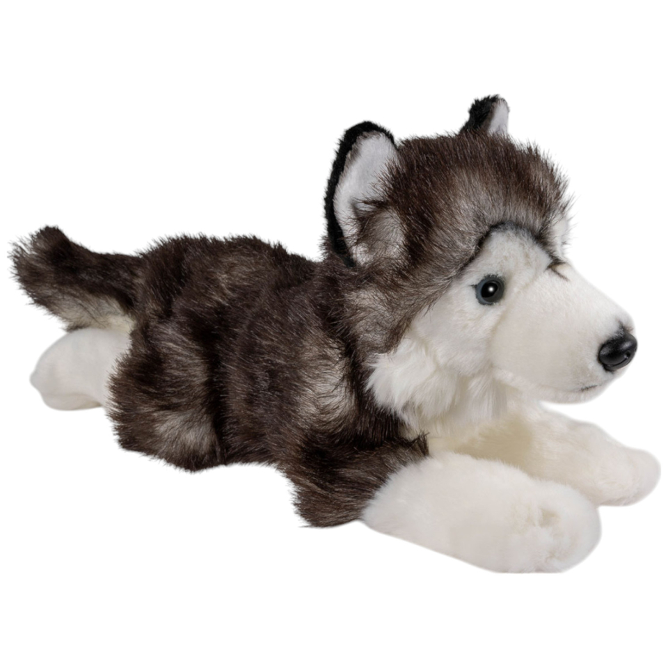 Husky schwarz-weiß liegend