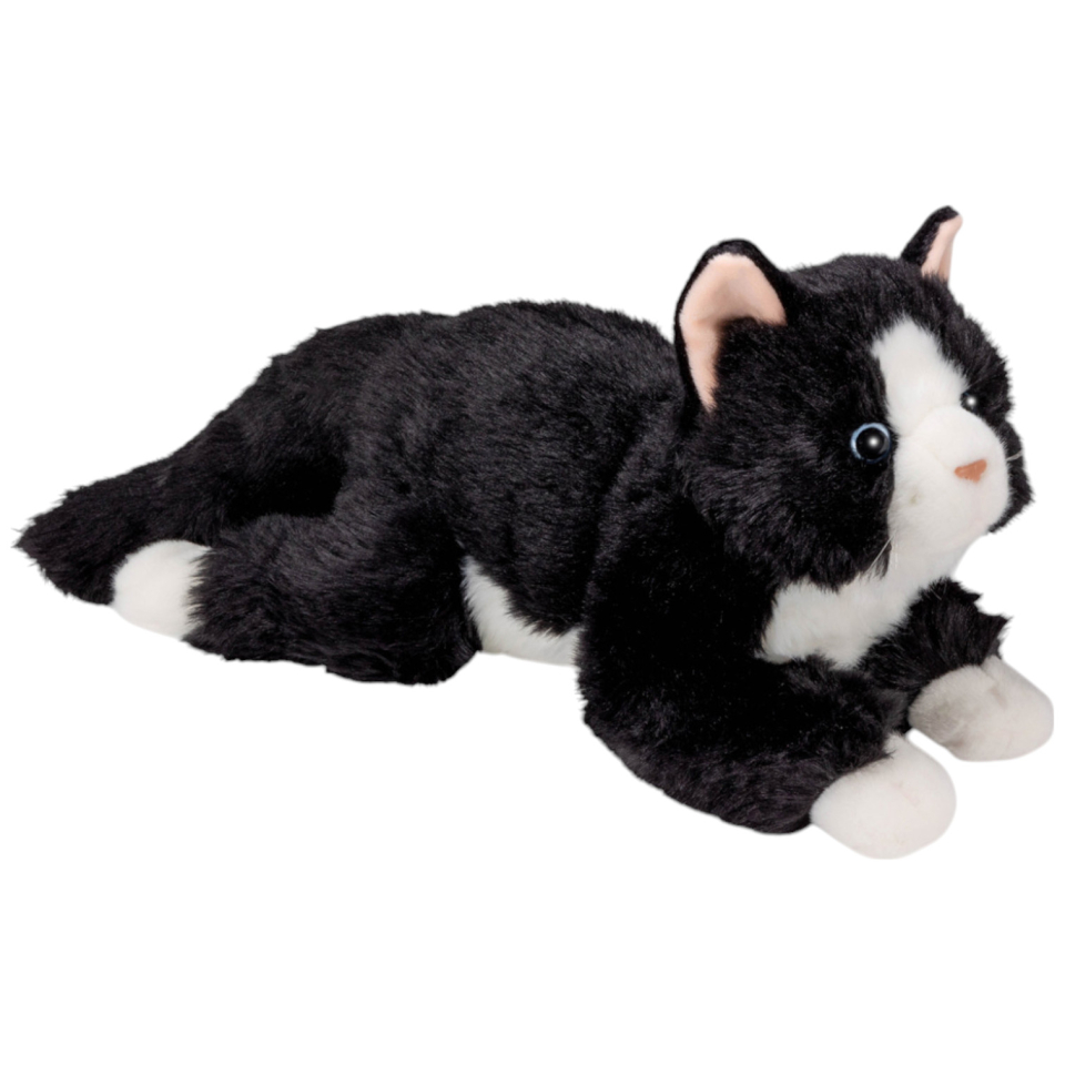 Cat black-white lying