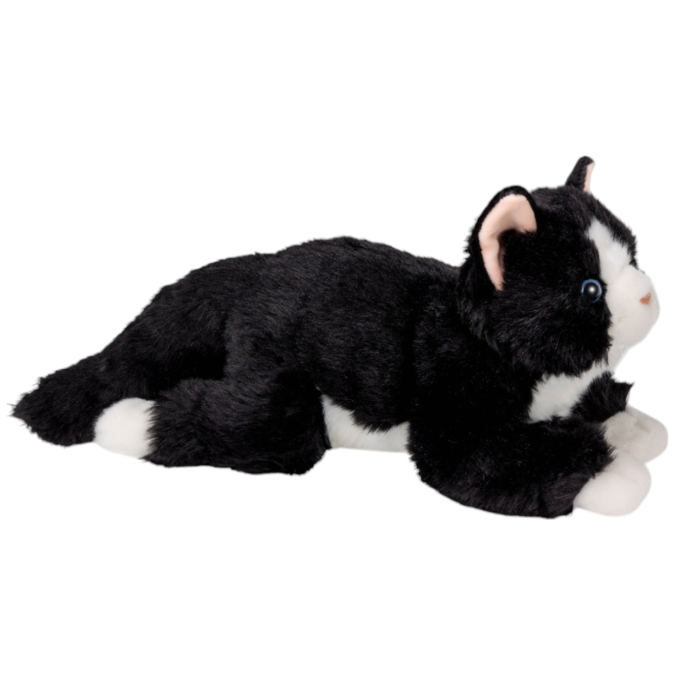 Cat black-white lying