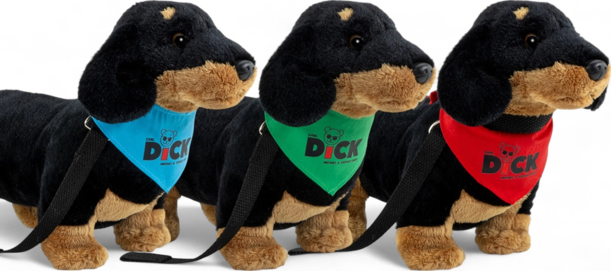 Dachshund with scarf Dachshund with scarf
